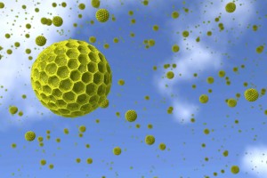 particle-pollen