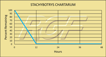 Stachybotrys chart