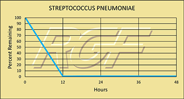 Streptococcus chart